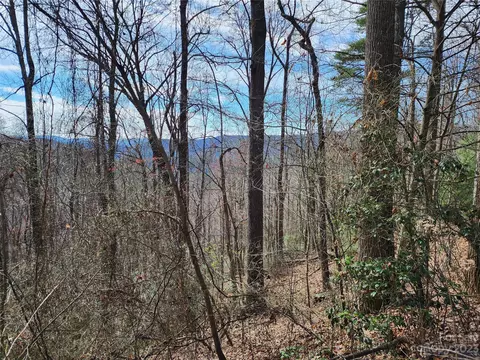 Deer Run, Purlear, NC 28665