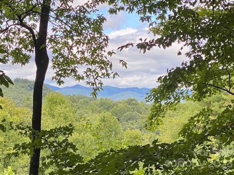 10 Tomahawk Trail #10, Hendersonville, NC 28739