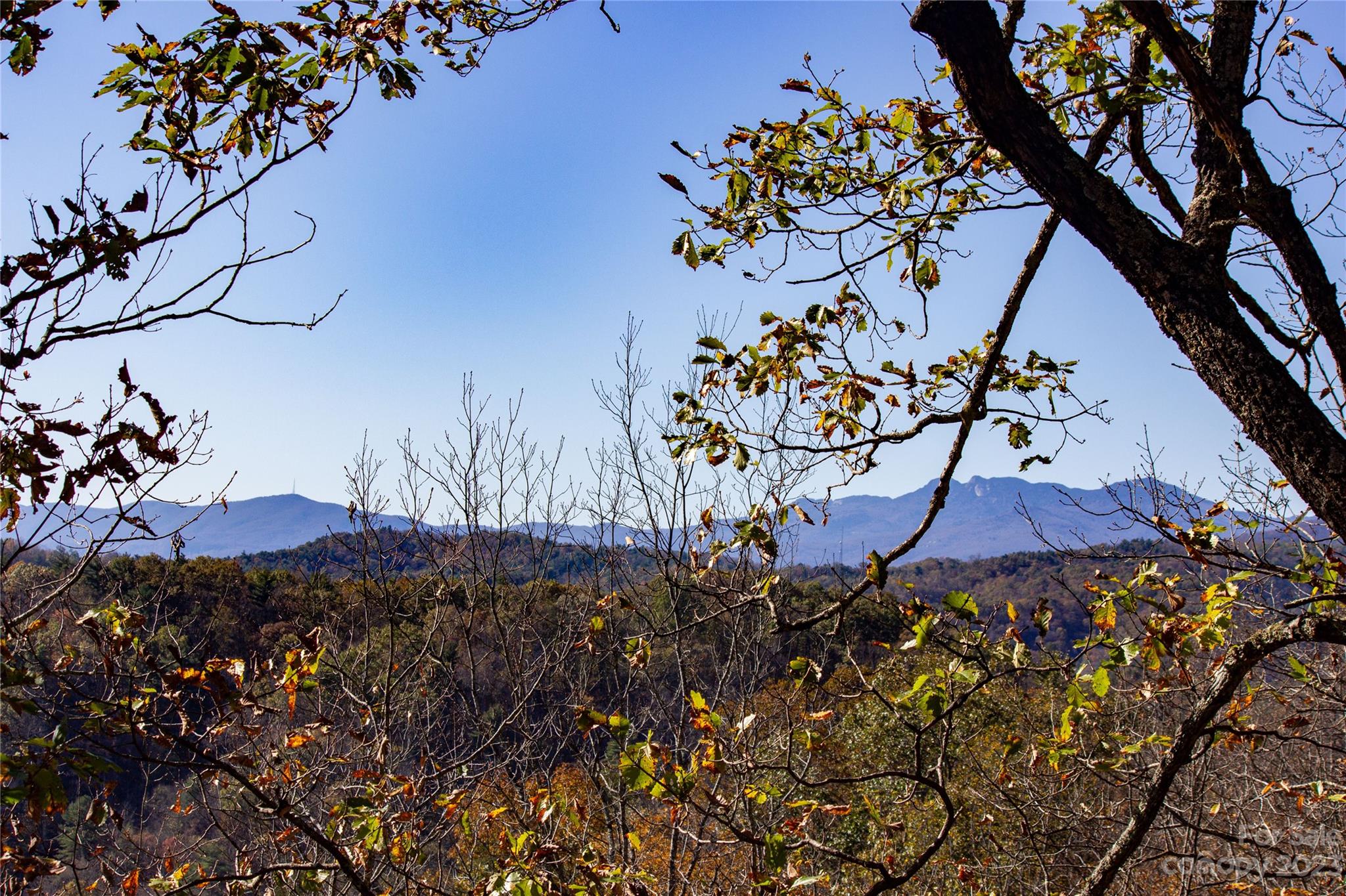 Lot Unit 547 Autumn 547 Rdg Unit 547