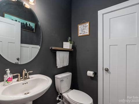 413 Hudson Pl, Davidson, NC 28036 photo 13