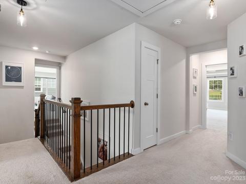413 Hudson Pl, Davidson, NC 28036 photo 14