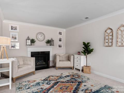 413 Hudson Pl, Davidson, NC 28036 photo 17