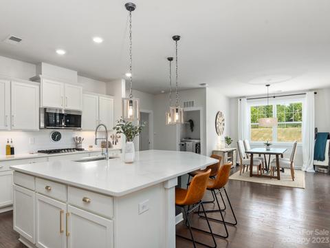 413 Hudson Pl, Davidson, NC 28036 photo 7