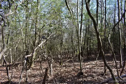 Pepper Bush Drive, Purlear, NC 28665 photo 4