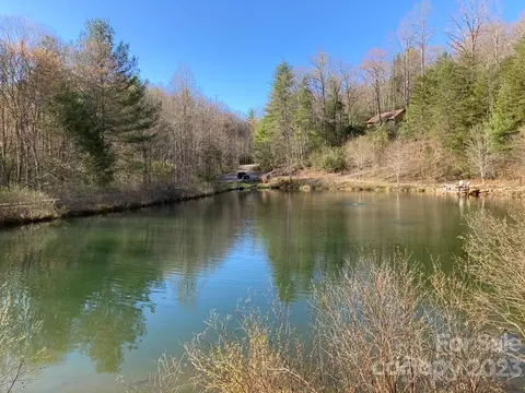 Pepper Bush Drive, Purlear, NC 28665 photo 16
