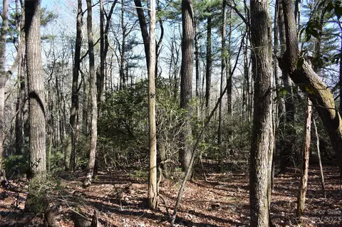 Pepper Bush Drive, Purlear, NC 28665 photo 7