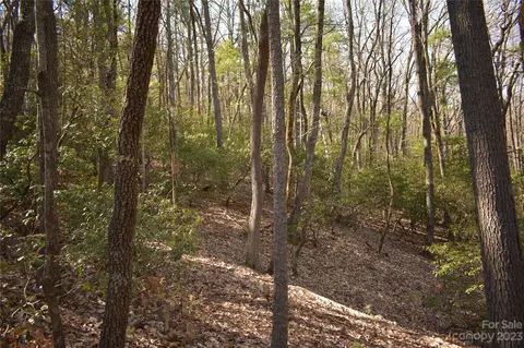 Pepper Bush Drive, Purlear, NC 28665 photo 5