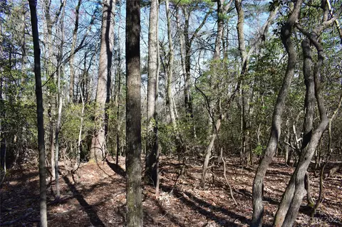 Pepper Bush Drive, Purlear, NC 28665 photo 6