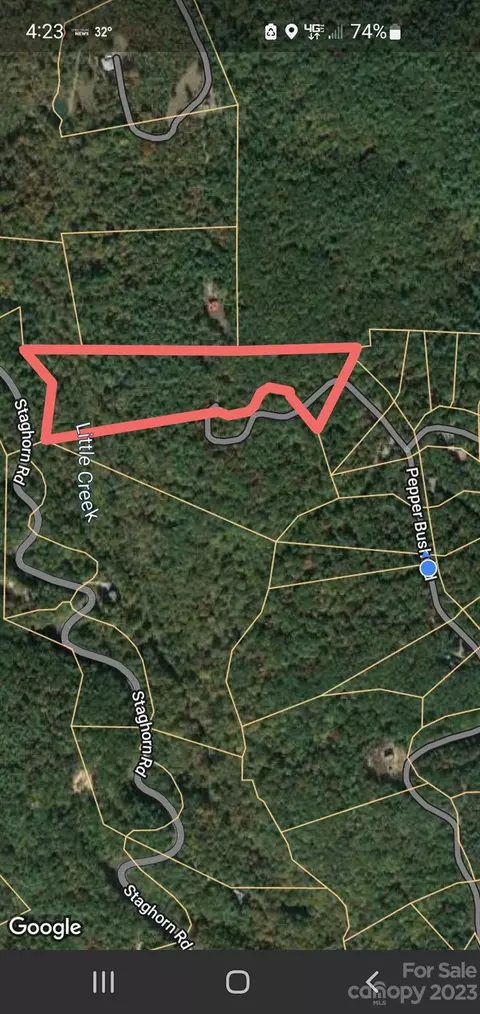 Pepper Bush Drive, Purlear, NC 28665 photo 19