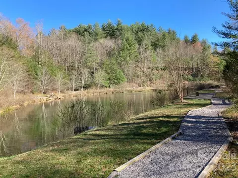 Pepper Bush Drive, Purlear, NC 28665 photo 14