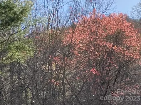 Pepper Bush Drive, Purlear, NC 28665 photo 15