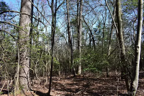 Pepper Bush Drive, Purlear, NC 28665 photo 8