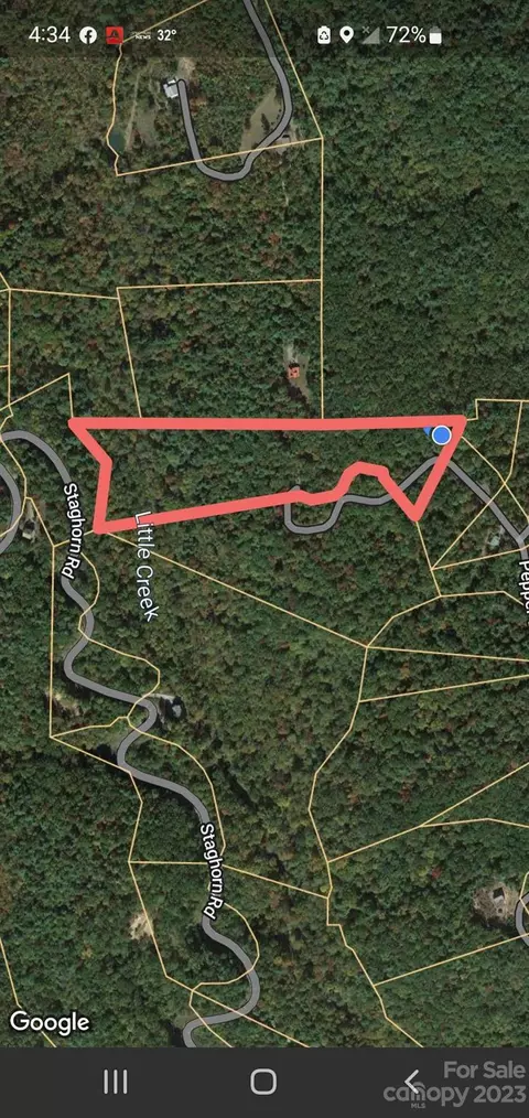 Pepper Bush Drive, Purlear, NC 28665 photo 20