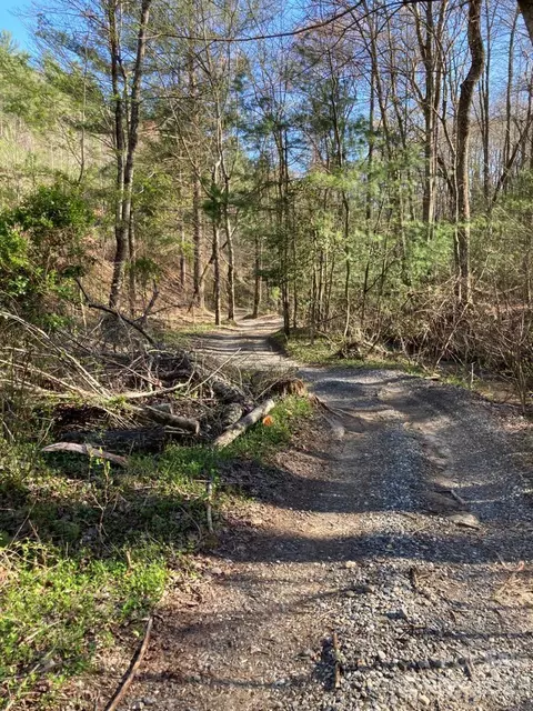 Pepper Bush Drive, Purlear, NC 28665 photo 18