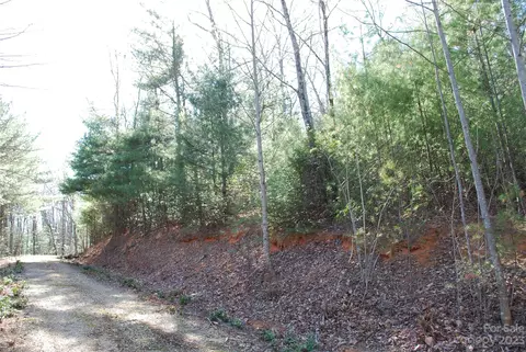 Pepper Bush Drive, Purlear, NC 28665 photo 3
