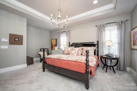 424 Potts St, Davidson, NC 28036 photo 25