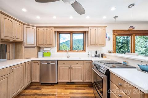 159 Deer Leap, Marshall, NC 28753 photo 8