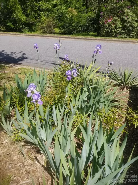 2515 3rd Nw Ave NW, Hickory, NC 28601 photo 6
