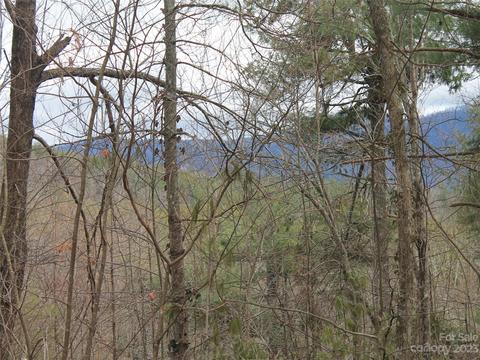 0000 Wildlife 84 Acres Trl #.84 ACRES, Hendersonville, NC 28739