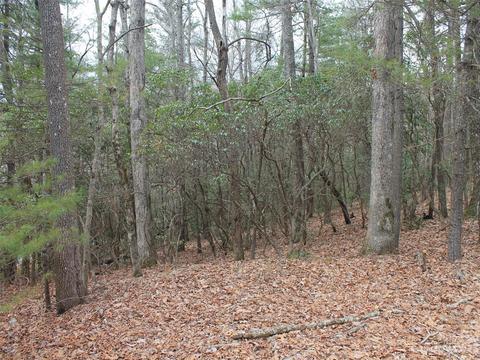 000 Wildlife 116 Acres Trl #1.16 ACRES, Hendersonville, NC 28739