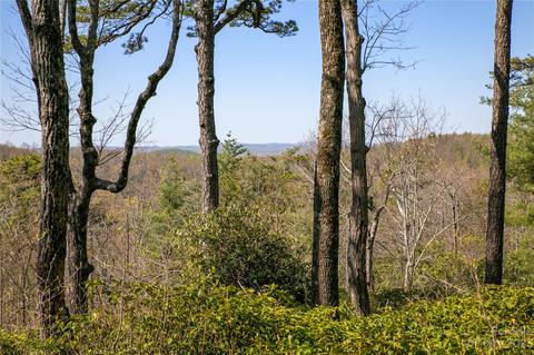 Sahalee Trail, Hendersonville, NC 28739