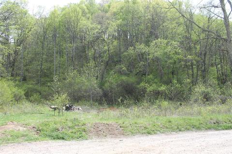 3 Long Branch Road, Clyde, NC 28721