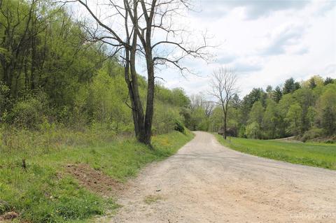 2 Long Branch Road, Clyde, NC 28721