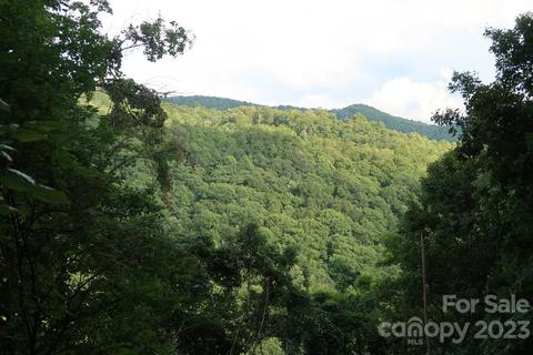 38 Long Creek Road #38, Bryson City, NC 28713