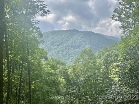 High Springs 39 Road #39, Bryson City, NC 28713