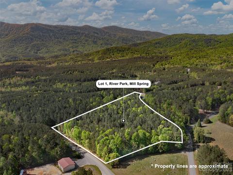 1 Green River Cove Road, Mill Spring, NC 28756