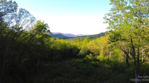 00 Bishop Cove Rd, Fairview, NC 28730