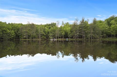 845 Trout Lake Rd, Deep Gap, NC 28618 photo 27