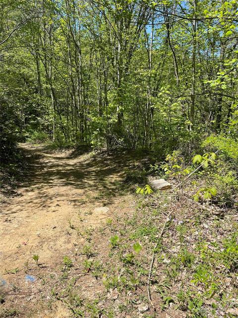 50 Twin Creeks Road, Fairview, NC 28730