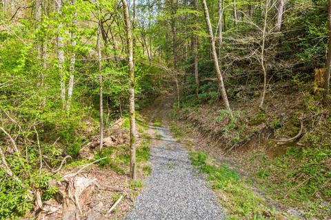 2023 Turnpike Rd, Marshall, NC 28753 photo 40