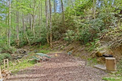 2023 Turnpike Rd, Marshall, NC 28753 photo 37