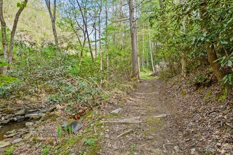 2023 Turnpike Rd, Marshall, NC 28753 photo 39