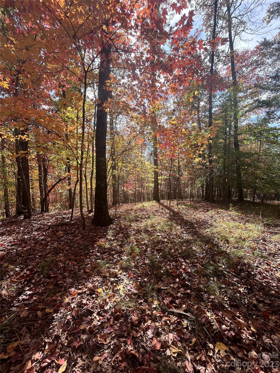 0 Valley 142 Dr Unit 142  