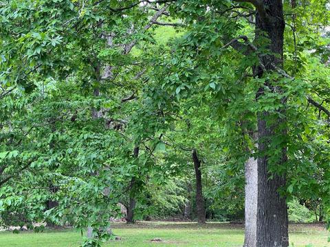4982 Tabernacle Rd, Lancaster, SC 29720 photo 26