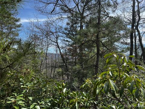 Pine Mountain M35 Road #M35, Brevard, NC 28712