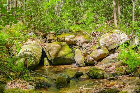 6025 Buffalo Mountain Dr, Lenoir, NC 28645