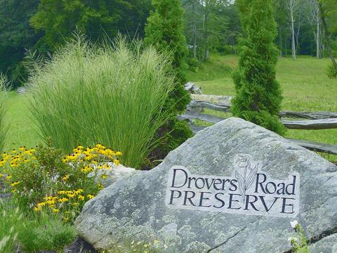 225 Nancy Ashworth Ln #19, Fairview, NC 28730