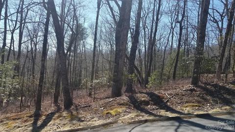 Tbd Ogana Court, Brevard, NC 28712