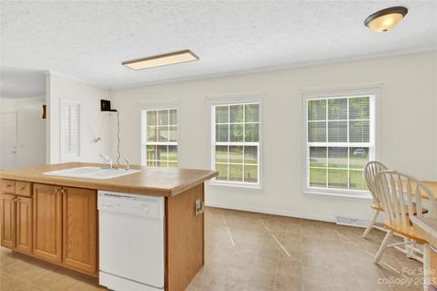 2805 Sweeping Pine Ln, Denver, NC 28037 photo 15