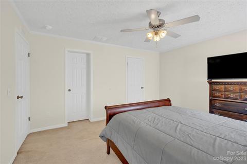 2805 Sweeping Pine Ln, Denver, NC 28037 photo 20