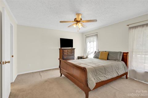 2805 Sweeping Pine Ln, Denver, NC 28037 photo 17