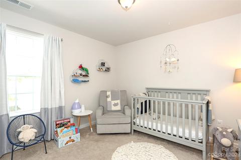 6851 Spring Peeper Ln, Lancaster, SC 29720 photo 29