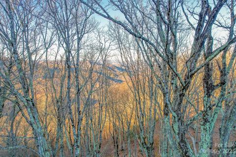 Rocky Top Trail, Seven Devils, NC 28604 photo 8
