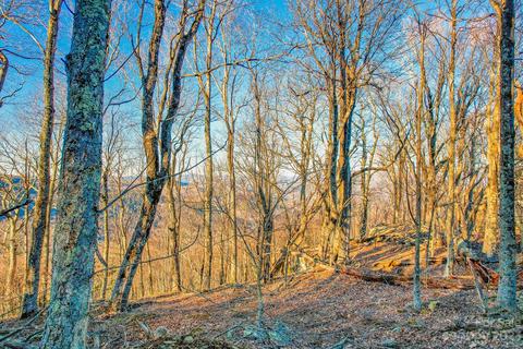 Rocky Top Trail, Seven Devils, NC 28604 photo 5