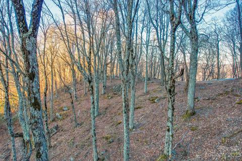Rocky Top Trail, Seven Devils, NC 28604 photo 11