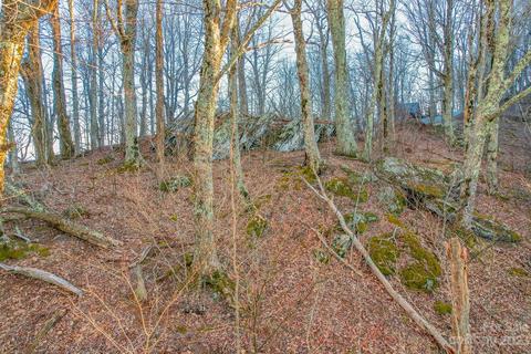Rocky Top Trail, Seven Devils, NC 28604 photo 9